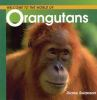 Welcome_to_the_world_of_Orangutans