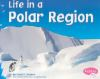 Life_in_a_polar_region