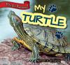 My_turtle