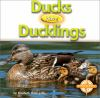 Ducks_Have_Ducklings
