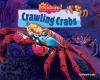 Crawling_crabs