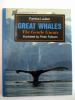 Great_whales__the_gentle_giants