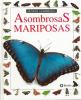 Asombrosas_mariposas
