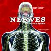 Nerves___The_Nervous_System