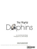 The_playful_dolphins