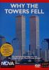 Why_the_towers_fell
