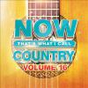 Now_That_s_What_I_Call_Country_Volume_16