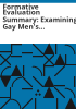 Formative_evaluation_summary__examining_gay_men_s_networks_in_the_metro_Denver_area_sexually_transmitted_infection__STI__HIV_Section