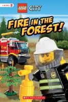 Fire_in_the_forest_