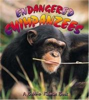 Endangered_chimpanzees