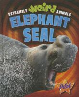 Elephant_seal