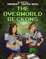 The_Overworld_beckons