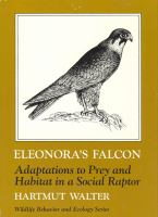 Eleonora_s_falcon___adaptations_to_prey_and_habitat_in_a_social_raptor