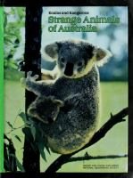 Koalas_and_kangaroos__strange_animals_of_Australia