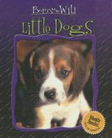 Little_dogs
