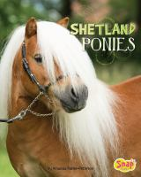 Shetland_ponies