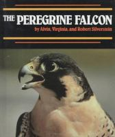 The_peregrine_falcon