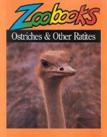 Ostriches_and_other_ratites