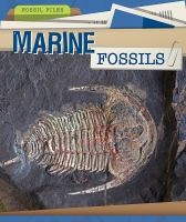 Marine_fossils