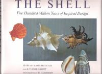 The_shell