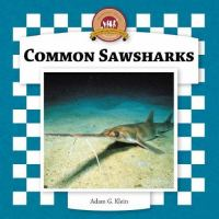 Common_sawsharks
