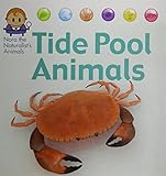 Tide_pool_animals