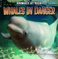 Whales_in_danger