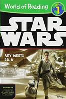 Star_Wars__Rey_meets_BB-8