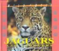 Jaguars_and_leopards