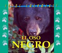 El_oso_negro