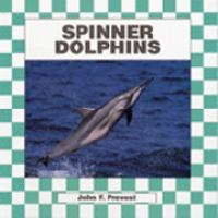 Spinner_dolphins