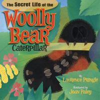 The_secret_life_of_the_woolly_bear_caterpillar