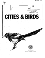 Cities___birds