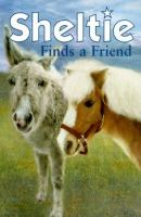 Sheltie_finds_a_friend
