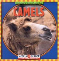 Animals_I_See_At_The_Zoo__Camels