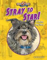Stray_to_Star___a_shelter_dog_story
