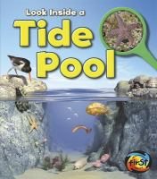 Look_inside_a_tide_pool