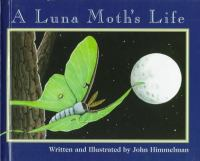 A_luna_moth_s_life